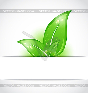 Green leaves sticking out of cut paper - vector clip art