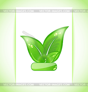 Green nature leaves on sheet - vector image