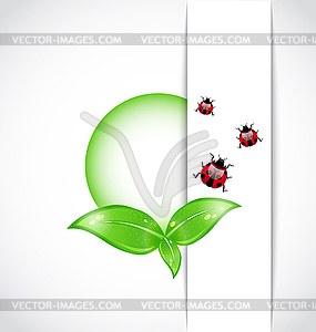 Ecological background with bubbles, leaves, ladybugs - vector clipart / vector image