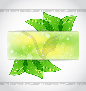 Green leaves sticking out of cut paper - vector clipart