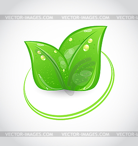 Эко зеленый дизайн символа с листьями - векторный клипарт / векторное изображение