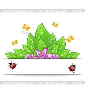 Eco friendly card with green leaves, flower, - vector clip art