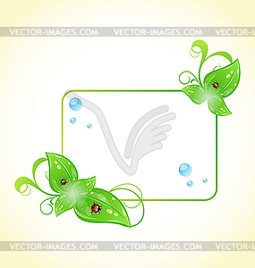 Eco friendly frame with green leaves and ladybugs - vector clip art