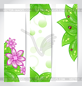 Set of bio concept design eco friendly banners - vector clipart