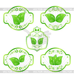 Набор зеленых экологических этикеток с листьями BAC - изображение векторного клипарта
