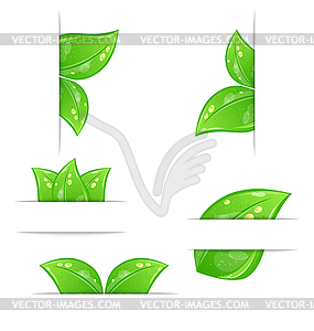 Set of green ecological labels with leaves bac - vector clip art