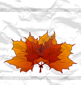 Autumnal maple leaves, crumpled paper texture - vector image