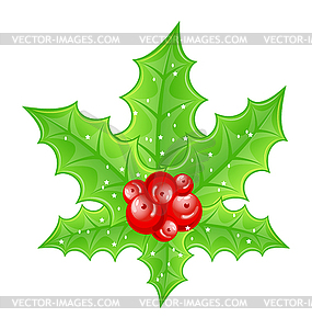 Christmas decoration holly berry branches back - vector image