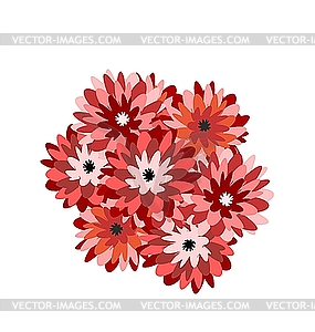 Bunch of flowers aster - vector clip art