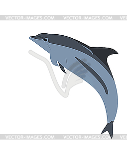 Dolphin - vector image