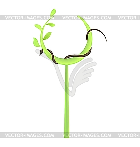 Concept of branch at green leaf and snake - vector image