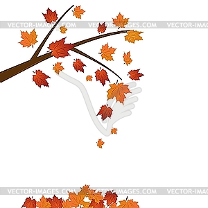 Branch of maple tree - vector image