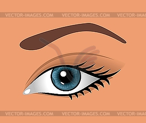 Close up eye - royalty-free vector image