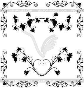 The grape twig ornate - vector image