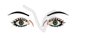 Eyes are - vector clipart / vector image