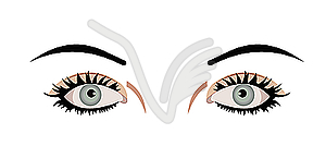 Eyes are - vector clipart