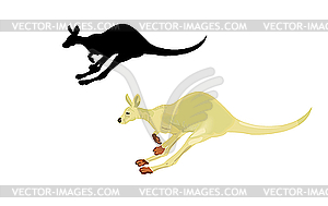 Running kangaroo on white - vector image
