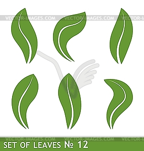 Of leaves set for design - vector clipart