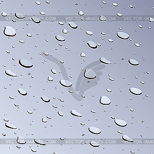 Water drops on glass - vector image