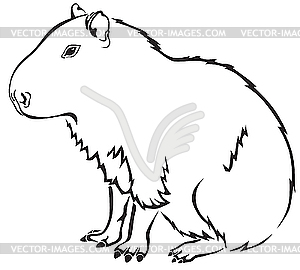 Capybara - vector clipart