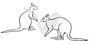 Couple of kangaroo - vector image