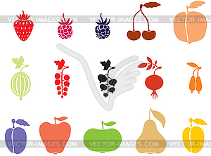 Fruits and Berries - vector image