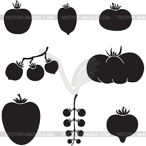 Tomatoes - vector clipart