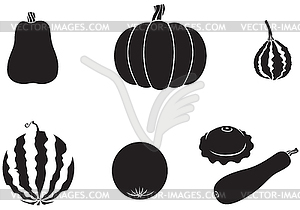 Pumpkin and melon - vector clip art