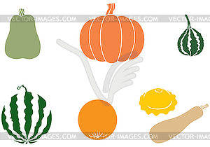 Pumpkin and melon - vector clipart