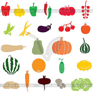 Vegetables - vector image