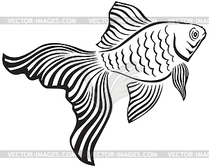 Goldfish - vector image