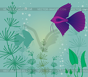 Aquarium with fish - vector image