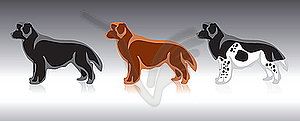 Dogs - vector clipart