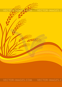 Background with cereal crop - vector image