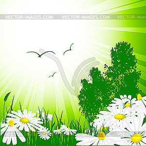 Floral template - color vector clipart