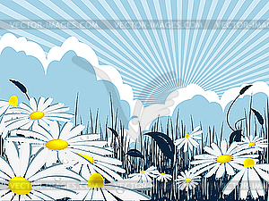 Floral template - color vector clipart