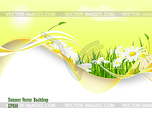Summer backdrop - vector clipart