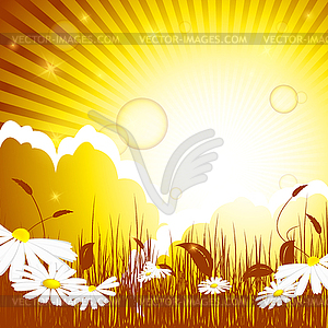 Floral background - vector clipart