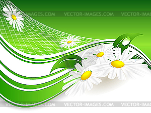 Summer background with chamomiles - vector clip art