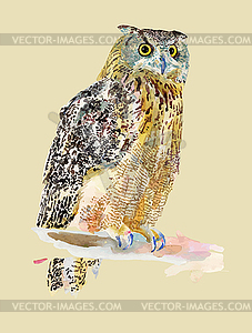 Original watercolor painting of bird, owl on branch - vector image