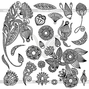 Set of flower ornamental designs - vector image