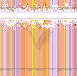 White flowers on colored strips - vector image