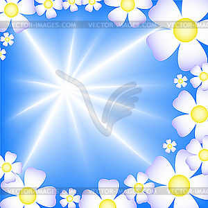 Blue background with white flowers - vector clipart