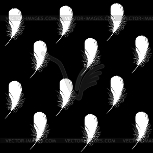 Feather - vector image