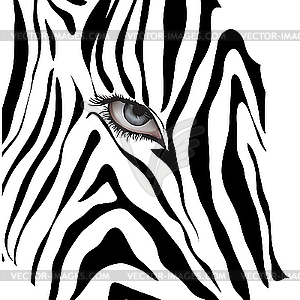 Human eye among black zebra lines - stock vector clipart