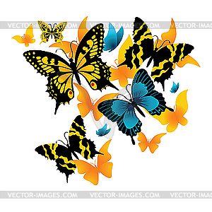 Бабочку - векторный эскиз