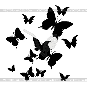 Butterfly - vector clip art