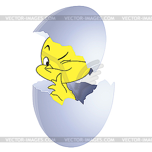 Yellow chicken in egg. - vector clipart