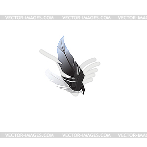 Black feather. - vector clip art