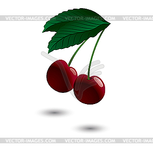 Two ripe cherries. - vector image